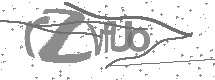 visual captcha